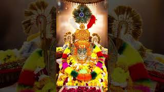 🙏🚩 बाबा रामदेवजी महाराज के भजन 🙏🚩 #viral #mp53 #trending #ramdevji #2026