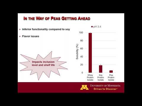Structural &amp; Functional Properties of Plant Protein Isolates &amp; Hydrolysates for Various Applications