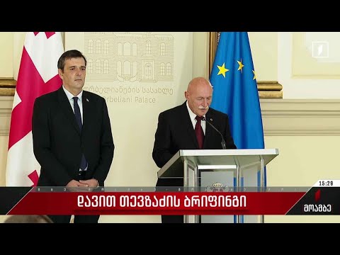 დავით თევზაძის ბრიფინგი