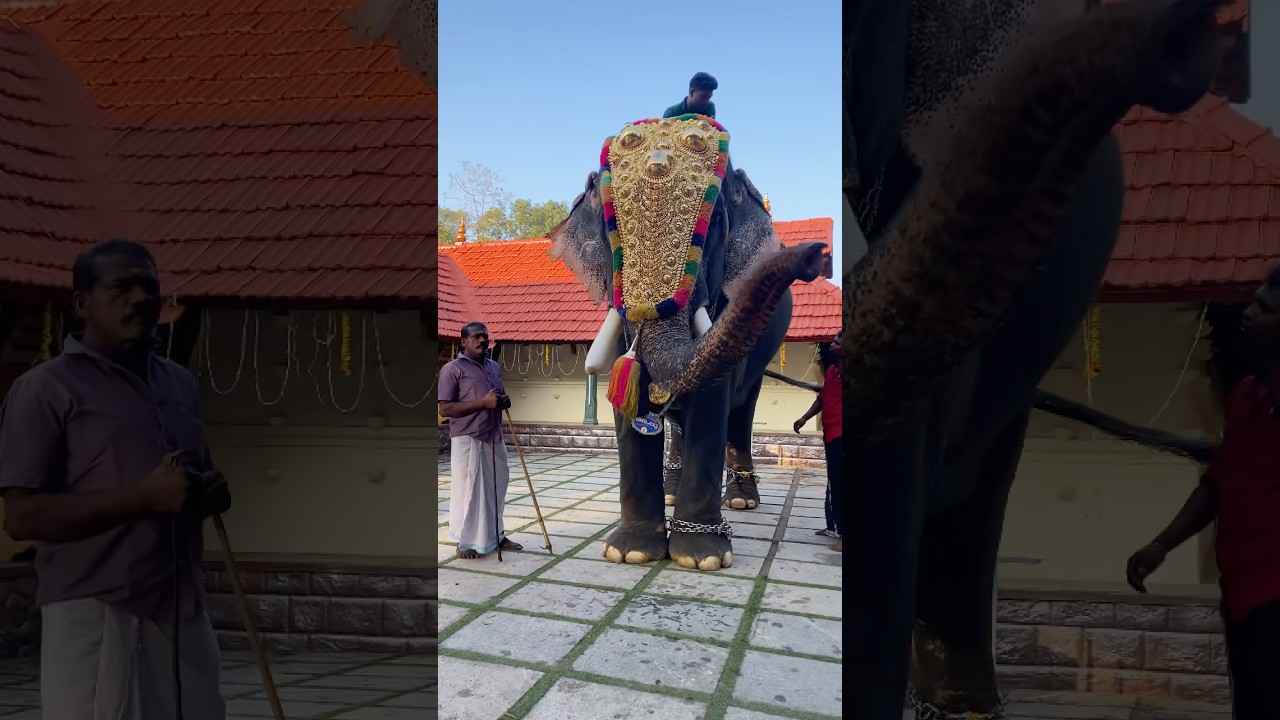 Анайади аппу 