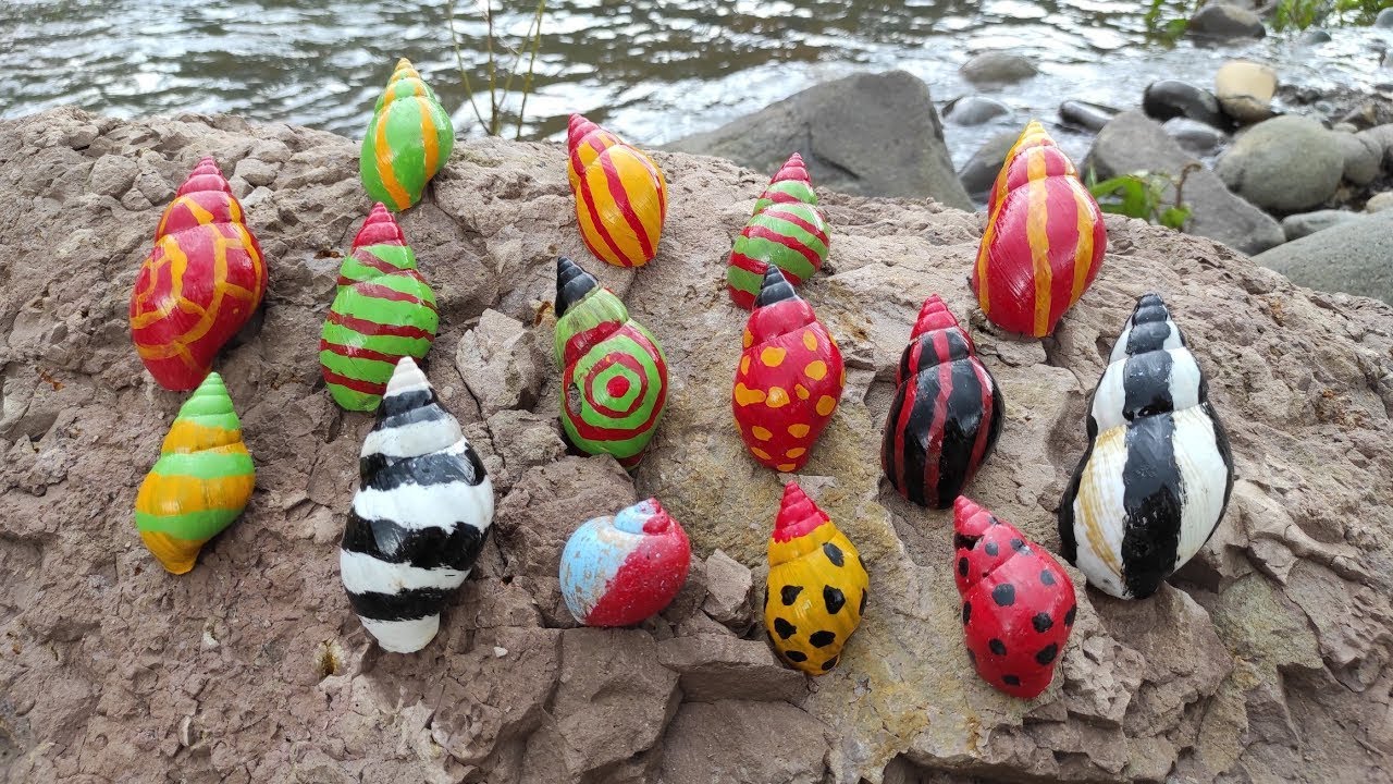 Wadidaw! Mencari kaki seribu, luwing, siput, ikan hias, ikan, bekicot, kura kura bebek lucu,kelomang