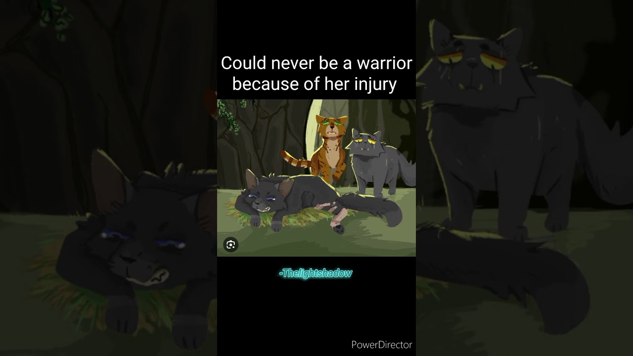 Warrior Cats Who Had The Hardest Lives 8 Warriorcats Warriorcatsedit Fyp Cinderpelt