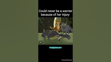 Warrior cats who had the hardest lives 8 #warriorcats #warriorcatsedit #fypシ #Cinderpelt