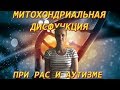 Митохондриальная дисфункция при РАС и Аутизме