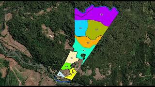 PLAN DE MANEJO CON CRITERIO DE ORDENACIÓN FORESTAL