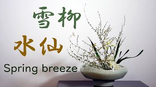 【生け花】短い枝をそのまま！雪柳と水仙【ikebana】Spring breeze/ narcissus/Brise de printemps/Brisa de primavera/봄바람雪柳和水仙花