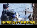 偶然が生んだ奇跡〜人と動物の運命的な出会いと愛の物語〜 #運命の出会い #動物の母性 #人と動物の絆 #偶然の奇跡 #感動の実話