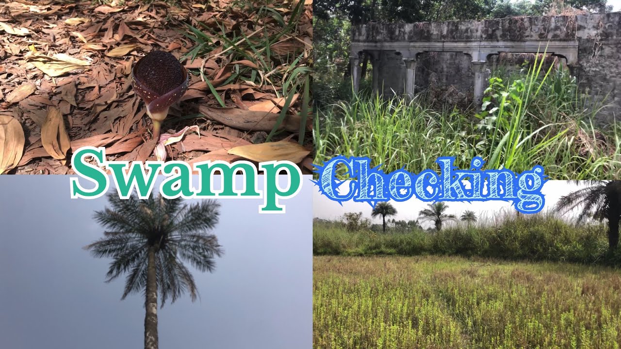 Sierra Leone: Meet New Places (Silicon Hills)