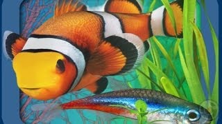 Fish Farm 2 - iPhone & iPad Gameplay Video screenshot 2