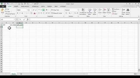 Tutorial - entering and sorting data in Excel 2013