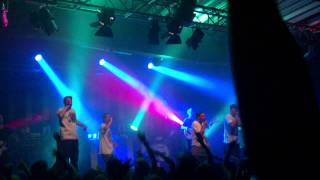 blumentopf party safari   live club vaudeville