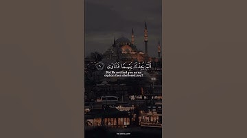 سورة الضحى أحمد النفيس💛