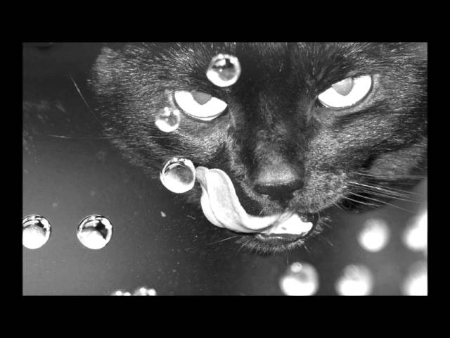 Watch Guatrau - Instinct (John D Remix) on YouTube Watch Guatrau - Instinct (John D Remix) on YouTube