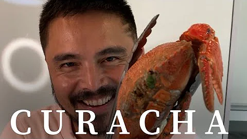 Curacha from Zamboanga 😍