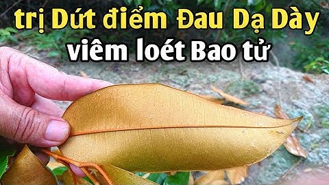 Bài thuốc trị Viêm loét Dạ dày, đau Bao tử rất hiệu quả. PHAN HẢI Channel