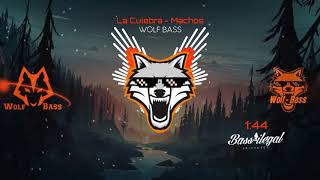 La Culebra - Banda Machos "EPICENTER"