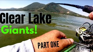 WON Bass California Open: Clear Lake(Part One) Best Bass Fishing Lake in the UNITED STATES! Big Bass