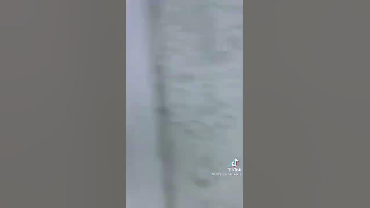 Шахри Душанбе - YouTube