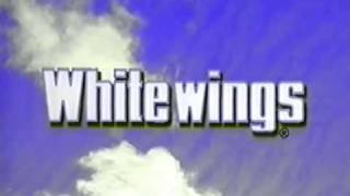 Flying Toys Whitewings Model Aeroplanes