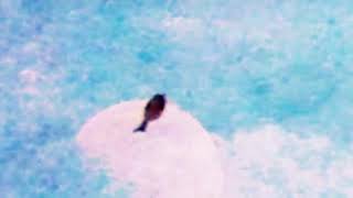 Spinying- الباحث § Seeker § الباحث
