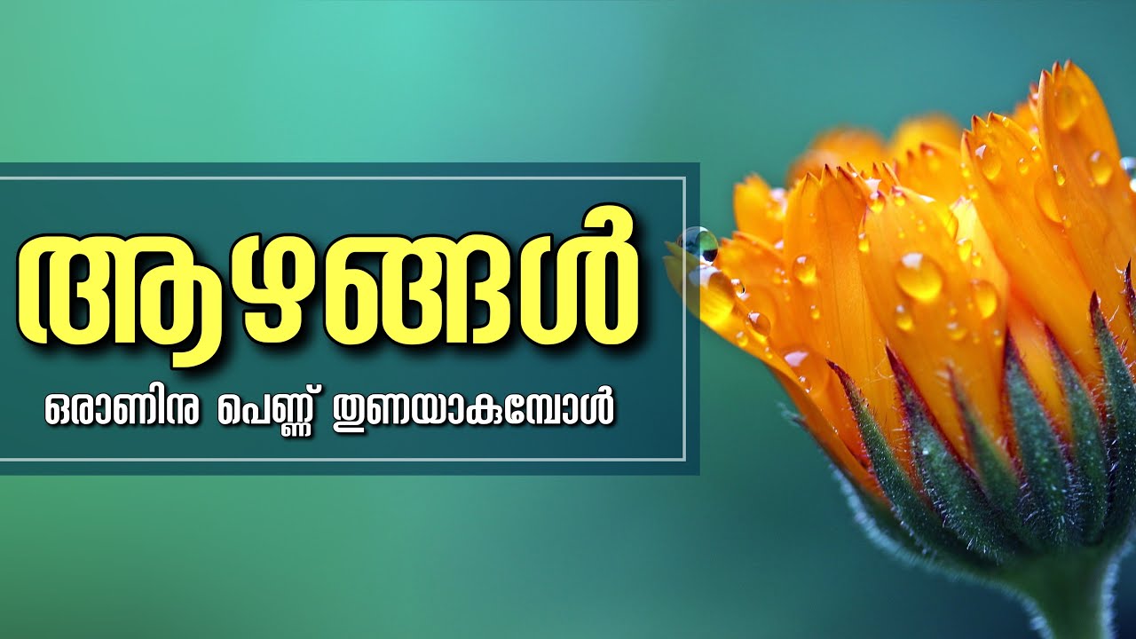 ആഴങ്ങൾ....ഒരാണിനു പെണ്ണ്‌ തുണയാകുമ്പോൾ / SHAHUL MALAYIL