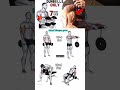 Dumbbells only hand biceps grow workout 10x4 set #homeworkout #fitnessmotivation #trendingshorts