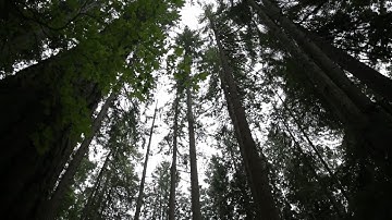 This is PaperCut sustainability