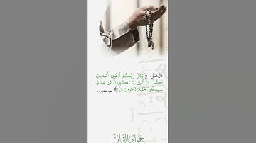 《 سورة الفرقان - اية ٦٣ 》