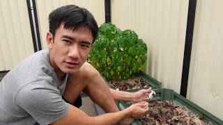 Im Gonna Document Everything