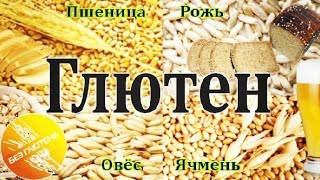 Фитнес и питание. Глютен. Глютеносодержащие продукты. Фитнес и питание. Глютен. Глютеносодержащие продукты.
