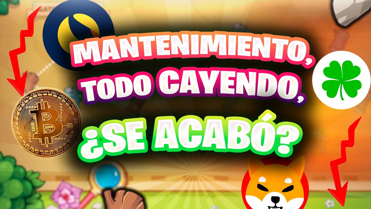 TOKEN PVU AL POZO, MANTENIMIENTO Y SITUACIÓN ACTUAL EN EL MERCADO CRIPTO | Plant vs Undead