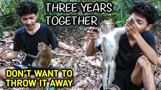 release of beloved pet monkey