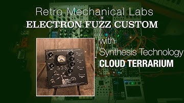 RML Electron Fuzz Custom with SynthTech Cloud Terrarium (demo 2 of ?)
