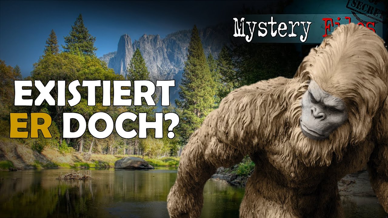 weltber-hmte-primatenforscherin-bigfoot-yeti-co-k-nnten-wirklich