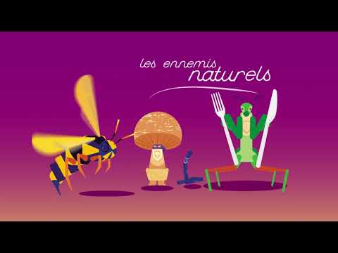 Ennemis naturels - Agrobonsens