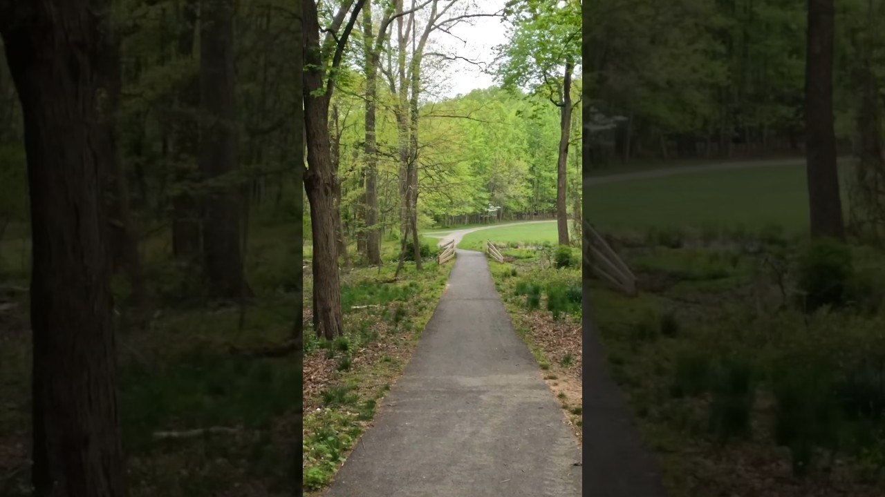 Cinematic GoPro Hero 10 