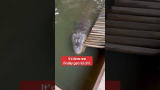 Alligator Ramp Installation Fail 