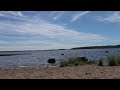 Выезд с детьми на Финский залив, июнь 2021
