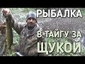 В ТАЙГУ ЗА ЩУКОЙ НА РЫБАЛКУ