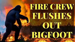 Fire Crew's 'Saw Boss' Knows What He Saw Come Out Of The Smoke And Fire - A Bigfoot