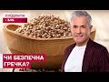 Гречка: корисна чи небезпечна? Що ви не знали про цей продукт! Знаю – споживаю