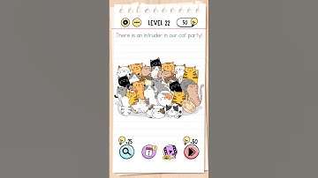 There Is An Intruder In Our Cat 🐱 Party 🥳 ? Brain Test Level :- 22