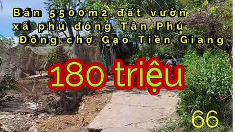 Bán 5000m2 đất vườn Tân Phú Đông chợ Gạo Tiền Giang