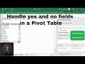 How to handle yes and no fields in a pivot table in Excel