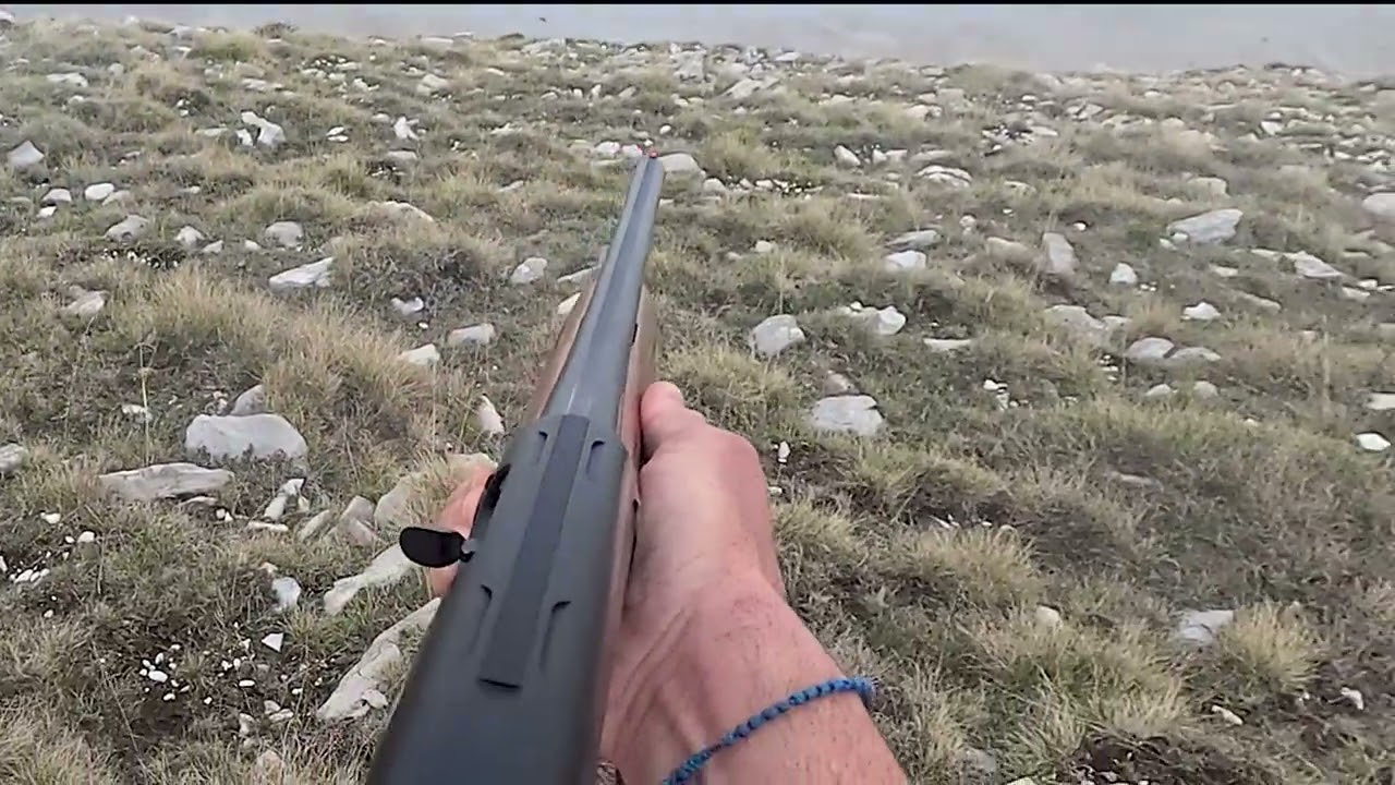 Alpha και.. πεταλωμα