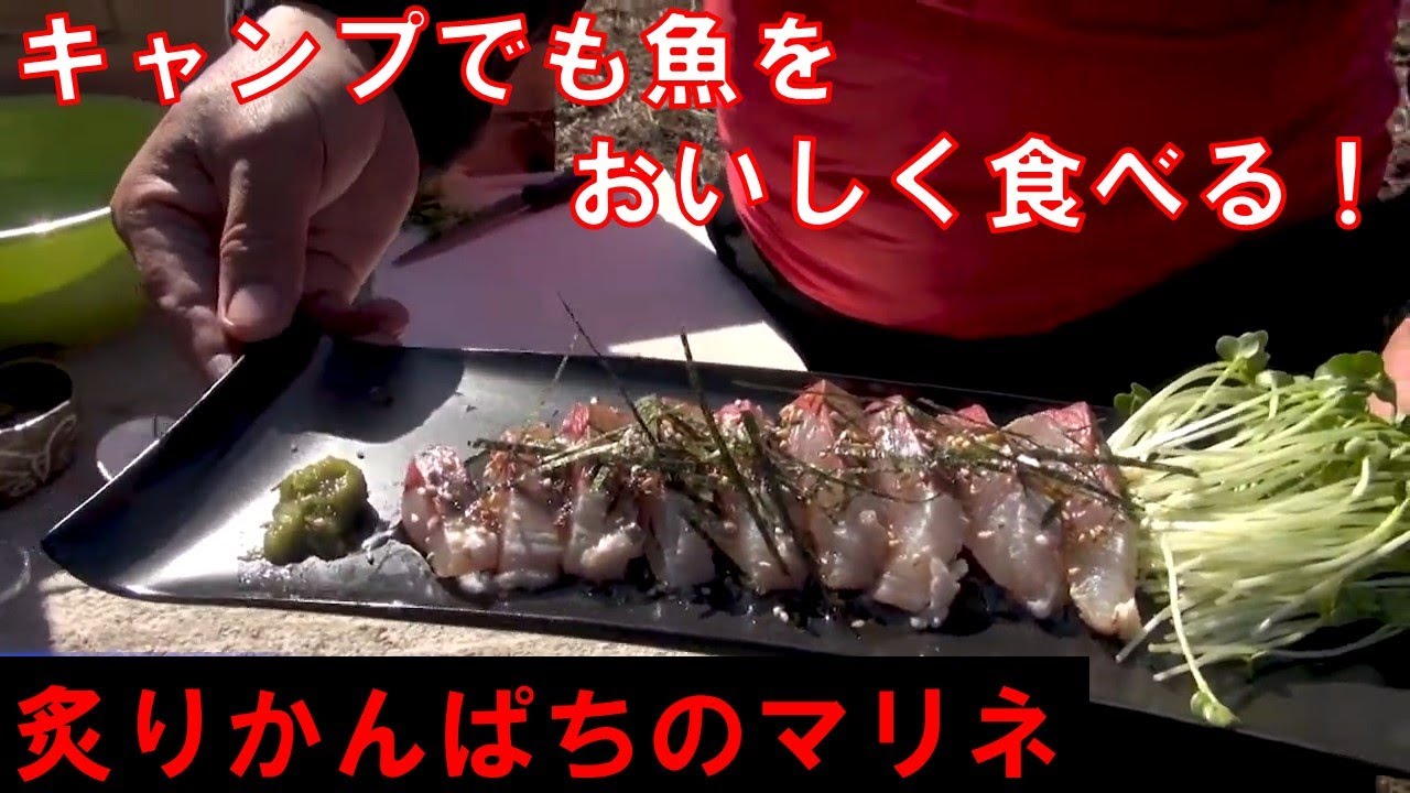 キャンプでも魚をおいしく食べる 炙りカンパチのマリネ キャンプ飯 アウトドアクッキング q Youtube