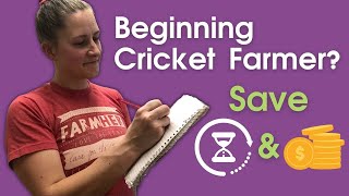 3 Tips for Beginning Cricket Farmer | What I wish I had done from the beginning