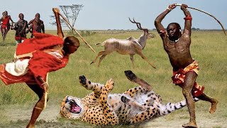 Great! Intelligent Maasai Aborigines Use This Method To Attack Cheetahs To Save Kudu - Lion, Python