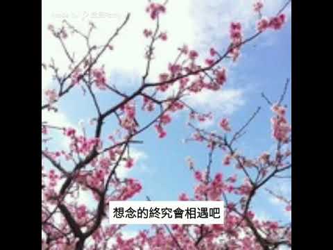 王心凌 在青春迷失的咖啡館 cover