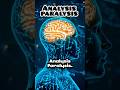 Why Your Brain Keeps Replaying Mistakes | Analysis Paralysis